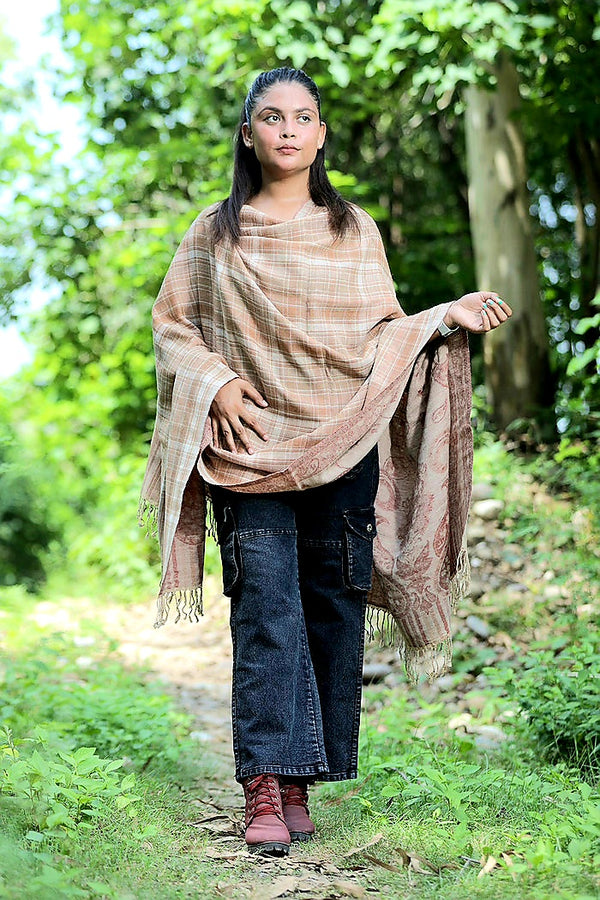 Beige colour shawl - CraftKashmir